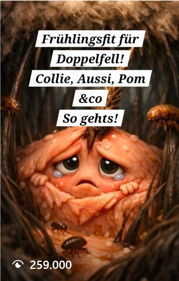 Frühlingsfit für Doppelfell