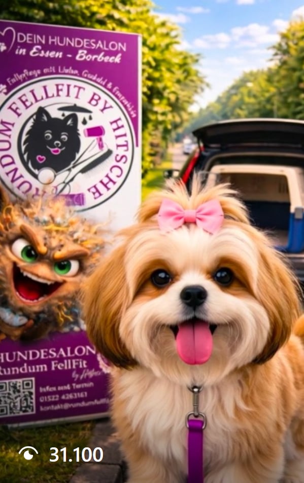 Hundesalon Rundum Fellfit