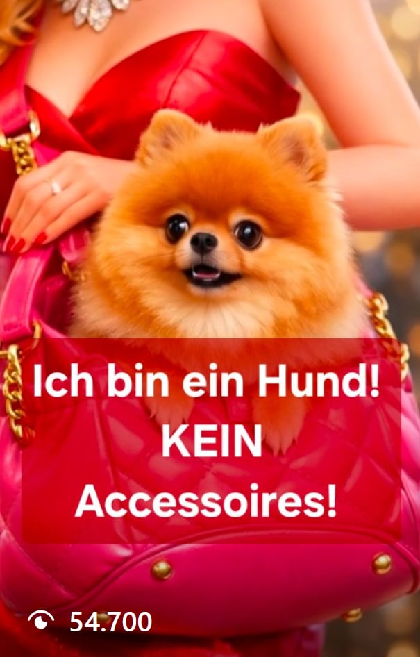 Ich bin ein Hund, kein Accessoire!