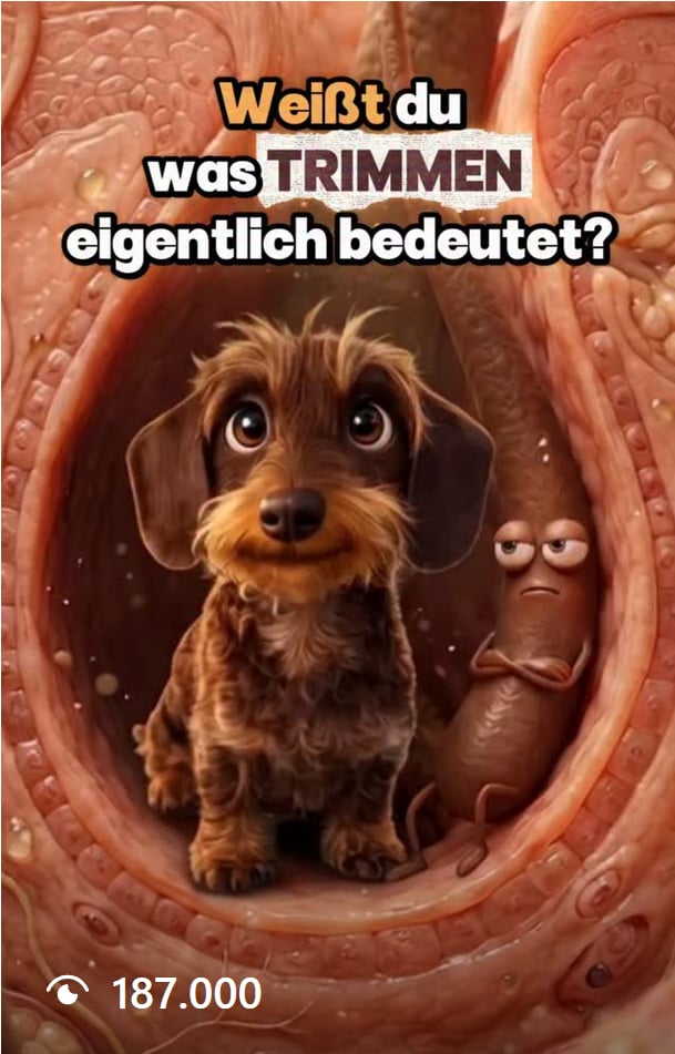 Weißt du was Trimmen bedeutet?