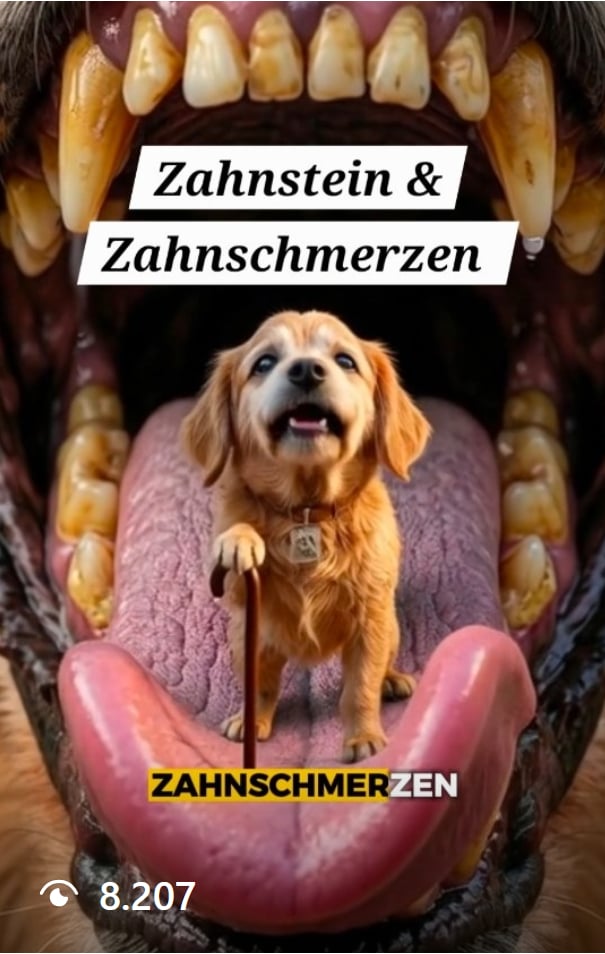 Zahnstein & Zahnschmerzen